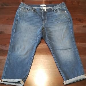 Lane Bryant Jeans